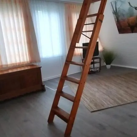 Ferienhaus Rana Apartment Wolfshagen (Lower-Saxony)